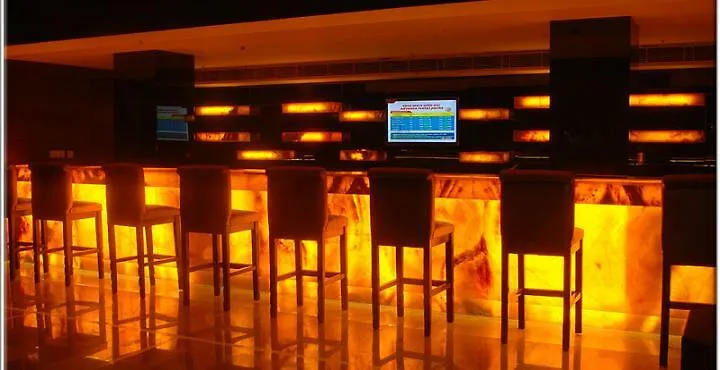 Hotel Pluto'S New Delhi